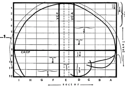 Fig. 11 – Rep` ere proportionnel de Talairach.
