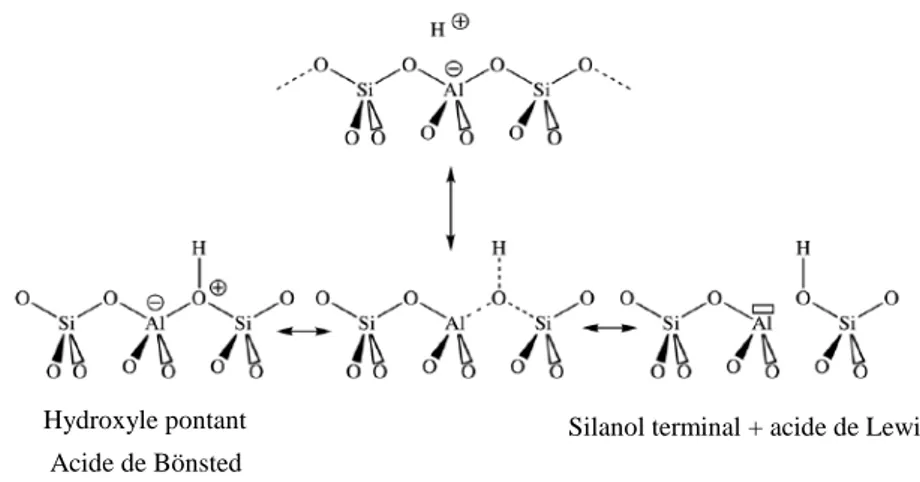 Figure I-9 : création des sites acides et des lacunes dans les zéolithes  [73].