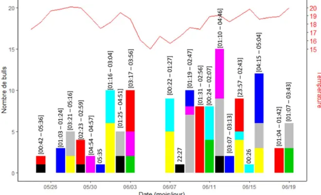 Figure 4. Distribution temporelle des bulls réalisés par huit grandes aloses femelles dans la Nivelle au printemps 2017