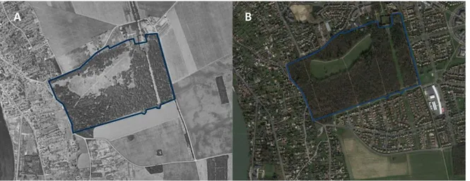 Figure 7 : Vues aériennes du Parc François Mitterrand A. en 1949 (©IGN) et B. en 2017 (©Google) 