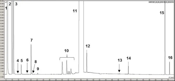 Figure II-11. Chromatogramme type pour la transformation du 4MP1N en présence du BT. (T 