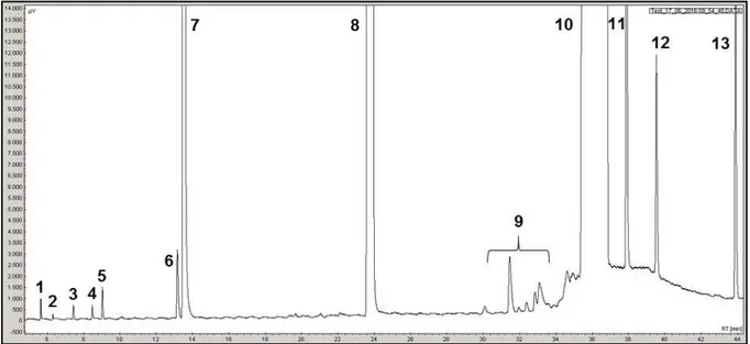 Figure II-16. Chromatogramme type pour la transformation du 23DMB2N en présence du 3MT