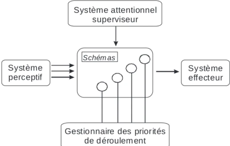 Figure 2.2 : Modèle cognitif de Norman et Shallice (1986)