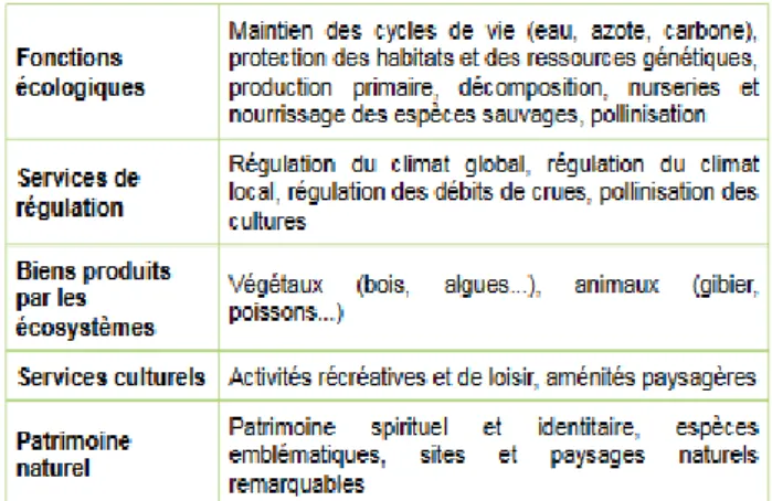 Tableau  2 :  exemples  de  services  écosystémiques  (D'après le commissariat général au développement  durable, 2016)