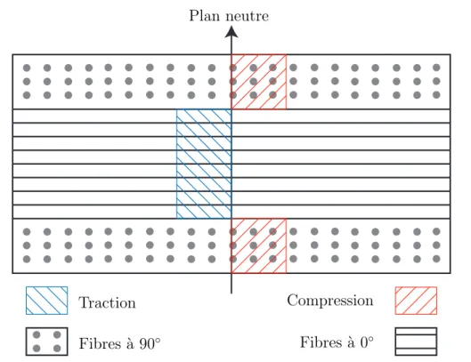 figure 1.3 – Exemples de contraintes r´esiduelles g´en´er´ees au niveau des plis