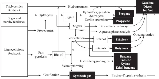 Figure  1-η μ  Production  d’hydrocarbures  à  partir  des  différentes  matières  premières  présentes issus de la biomasse [2]