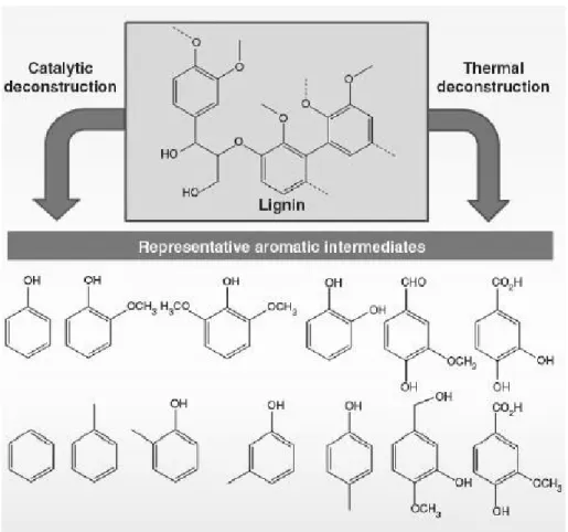 Figure 1-21 μ Déconstruction catalytique et thermique de la lignine en produits aromatiques  simples [η7]