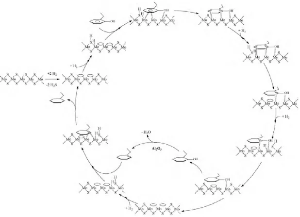 Figure 1-2θ μ Mécanisme de la voie HYD pour la transformation de l’éthylphénol sur  MoS 2 /Al 2 τ 3  [70]