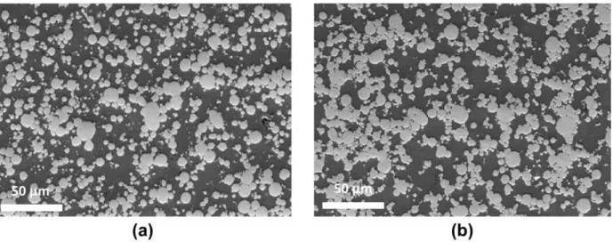 Figure I-33 : Micrographies MEB de composites Al/30 % vol.   -Al-Cu-Fe (a) AFF et (b) GFF, synthétisés par  compaction à chaud sous vide, d’après Tang et al