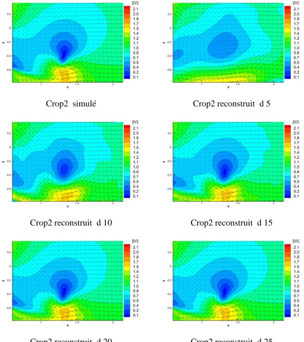 FIGURE 2.10 La reconstruction du champ de vitesse sur le sous-domaine « crop2 ». 