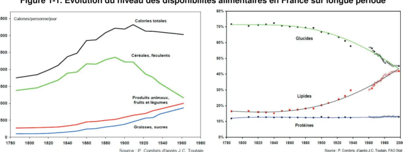Figure 1-1. Evolution du niveau des disponibilités alimentaires en France sur longue période 