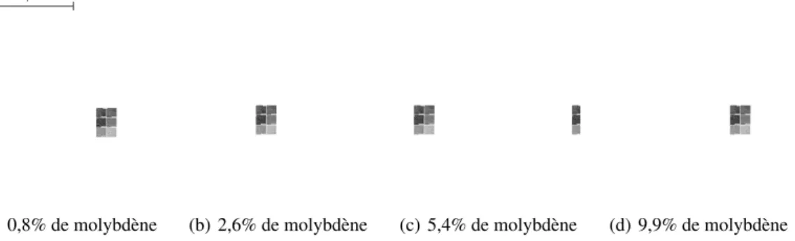 Figure 2.8 – Evolution de la microstructure le long d’un gradient de matériaux titane et molyb- molyb-dène [Collins2003]