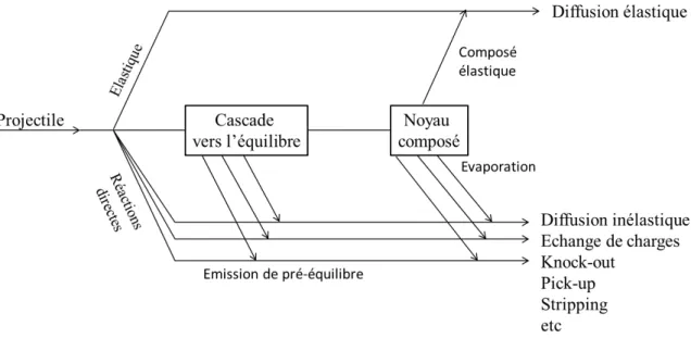 Fig. 1.6: Schéma représentant les processus des réactions nucléaires. Tiré de la thèse de Benck S