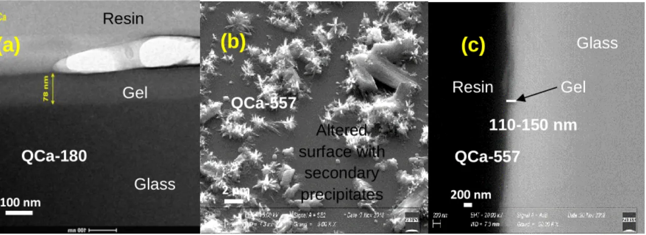 Figure 2- 5(a) TEM image of QCa (cross-section) altered for 180 days at 50°C and 95% RH; (b) SEM image of QCa  altered for 557 days at 50°C and 95% RH; (c) SEM image of cross-section of QCa altered for 557 days 