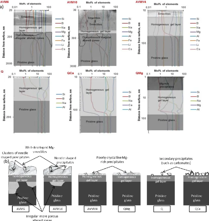 Figure 2- 9 (a) Description of the altered layer morphology of the six glasses that were vapor hydrated at 50°C and  95%RH for 180 days and 557 days; This description was constructed based on TEM images and ToF-SIMS profiles at  557 days; X-axis is the mol