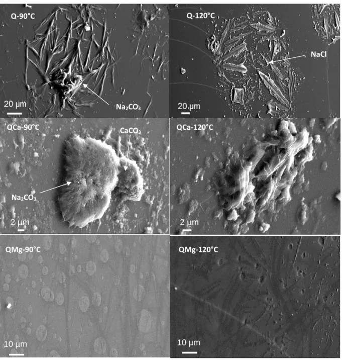 Figure  3-  2  SEM  images  of  the  three  simplified  glasses  Q  (top),  QCa  (center)  and  QMg  (bottom)  altered  in  vapor  phase at 95% RH and 90°C (left) and 120°C (right) for 91 days 