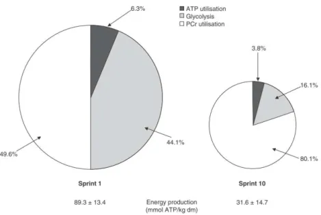 Figure 6 : Production d’ATP lors du 1 er   et 10 ème  sprint de 10 sec sur un total de 10 répétitions séparées de  30 sec de récupération