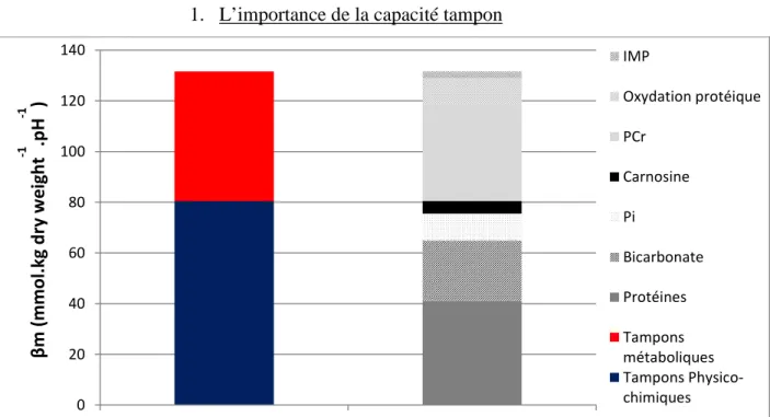 Figure 11 : Représentation des différents éléments constituants la capacité tampon totale