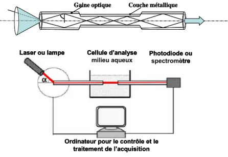 Figure II.3: CFO dite aussi « biconique » où la zone de détection se situe au milieu de la fibre  optique [9].
