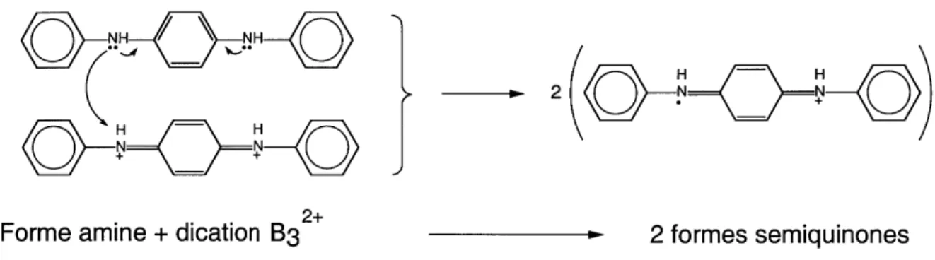 Figure II.10 : Représentation schématique de la conversion possible du dication B3 2+  en radical cation