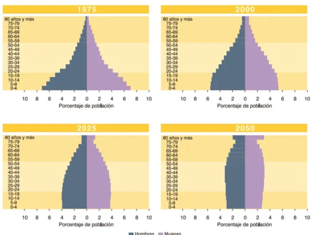Figure 1. Evolution de la composition de la population latino-américaine par classe d’âge et par  sexe de 1975 à 2050 