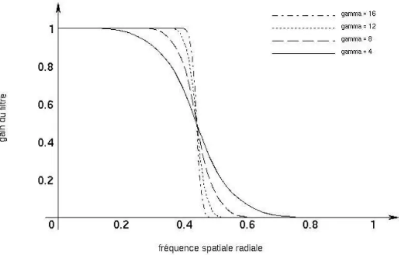 Fig. 1.19  inuence du paramètre γ sur la transition du ltre
