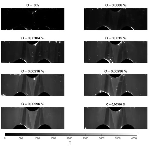 Figure 4.11 – Images du mélangeur pour différentes concentrations en fluorescéine dans l’eau.