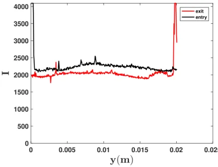 Figure 4.15 – Profil transversal de l’intensité lumineuse enregistré à l’entrée et à la sortie du canal.