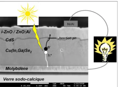 Figure 1 : image MEB en section transverse d’une cellule CIGSe synthétisée au  laboratoire