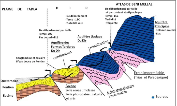 Fig  1 :  Coupe  hydrogéologique  schématique  et  simplifiée  montrant  les  modes  d’alimentation et les principaux aquifères de l’Atlas de Béni Mellal  et du Dir 