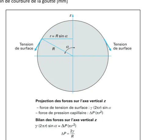 Figure I - 6 : Bilan des forces exercées sur un élément de volume d'une goutte de rayon R [27]