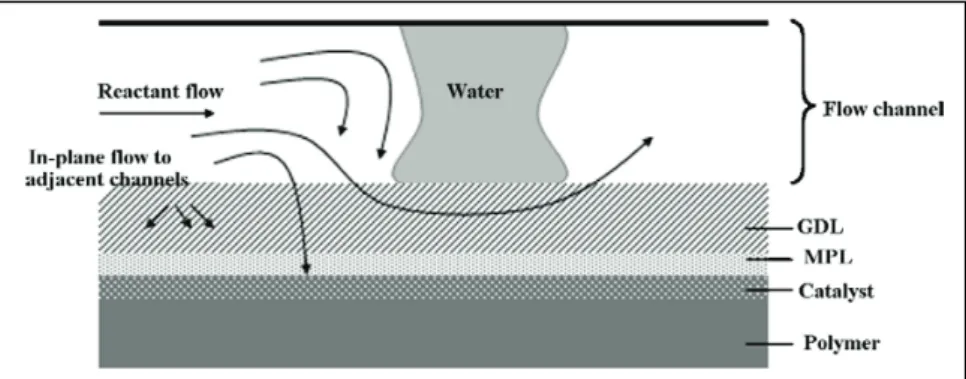 Figure I - 34 : Passage emprunté par les réactants lorsque le canal est bouché par une goutte [9]