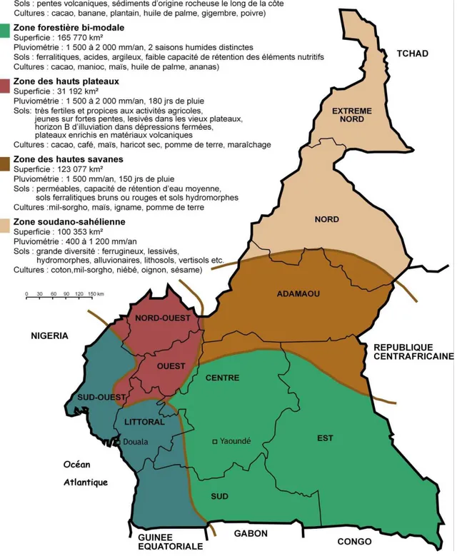Figure 6 : Les zones agro-écologiques du Cameroun 