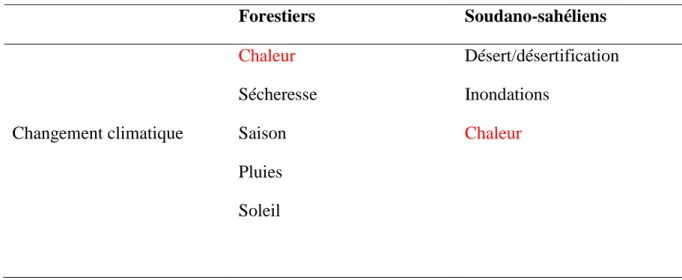 Tableau 12 : Noyaux centraux des deux groupes d'agriculteurs 