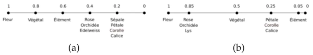 Figure 5.6 – Valeurs de similarités intra-ontologies (a) des concepts de l’ontologie o 1 par rapport au concept Fleur 1 et (b) des concepts de l’ontologie o 2 par rapport au Fleur 2 .