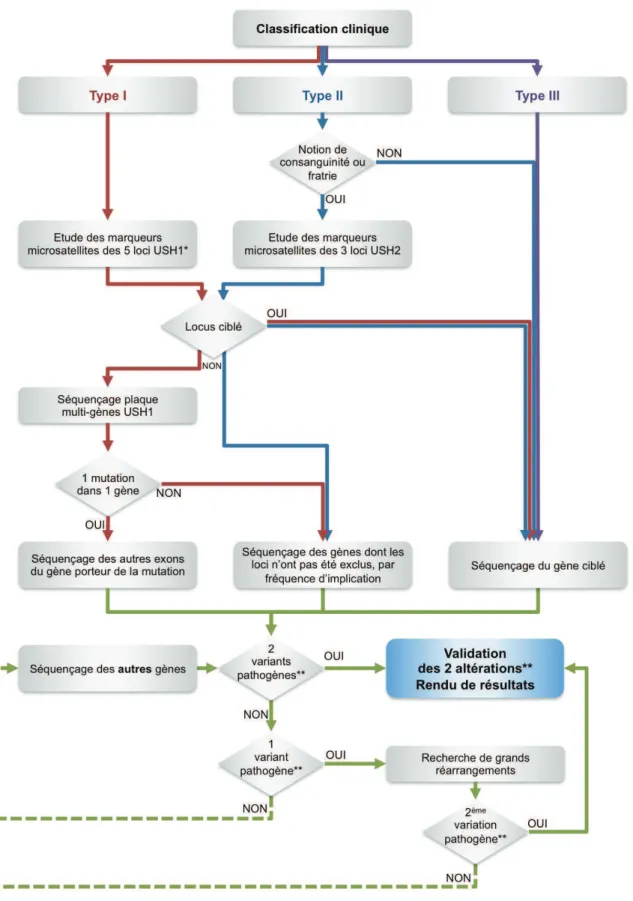 Figure 19 : Logigramme de la stratégie de diagnostic moléculaire du laboratoire 