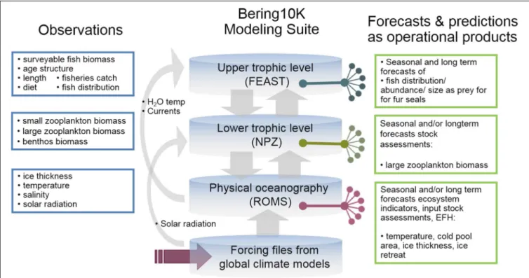 FIGURE 8 | Bering 10K observational needs and products. Example of observations (left) used for validation of the Bering10 Modeling Suite as well as specific output from each module used in operational/testing products (right).