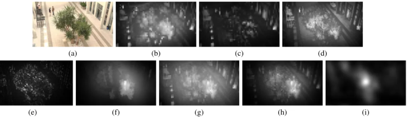 Fig. 2. Visual samples for different feature maps and saliency maps: (a) original image; (b) color feature map from C b component; (c) color feature map from C r component; (d) luminance feature map; (e) texture feature map; (f) depth feature map; (g) sali