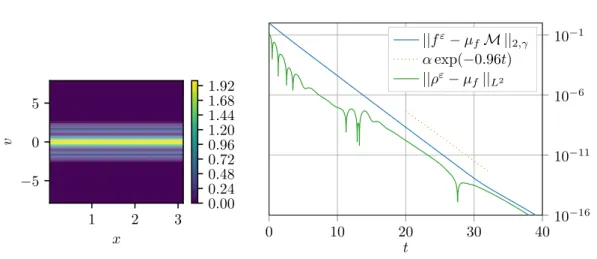 Figure 10. Test 5. Left: Equilibrium distribution (t = 40) in the (x, v) − phase-plane