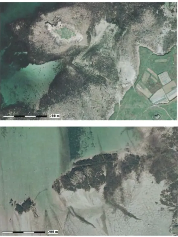 Figure 2 : Barrages de pêcheries à l’île de Batz (en haut, sur substrat rocheux) et à  Lancieux (en bas, sur fonds sableux) (Documents Ortho-Littoral 2000)