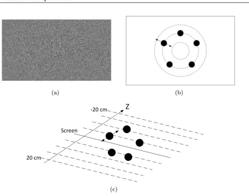 Figure 5: Composition of the stimuli. (a)The background of the stimuli. Only white- white-noise is contained in the background, which is positioned behind all the stimuli at -20 cm depth plane