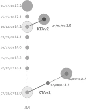 Figure 1: Tree of JM and KTA releases