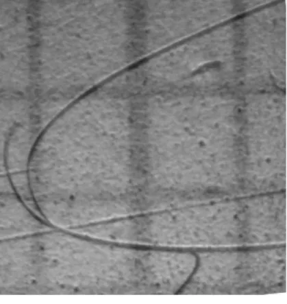 Figure 11 : Traces courbes
