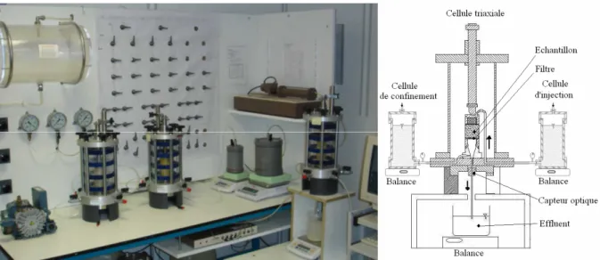 Figure 2 : Granulométrie des échantillons. 