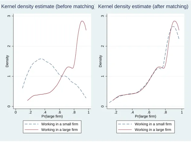 Figure 1: Common support of the propensity scores