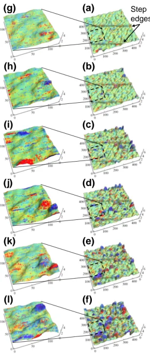 FIG. 4: (Color online) The right part from a to f displays a se- se-ries of consecutive Topographic/Spectroscopic measurements conducted on the same area (scale in nm)