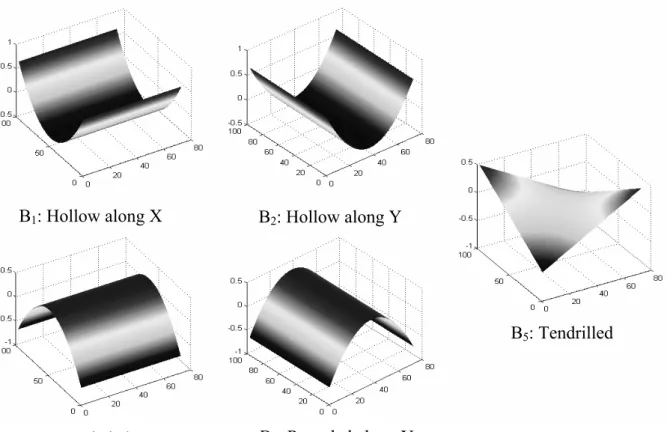 Figure 5: Basis defects samples 