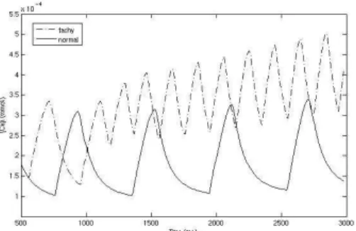 Figure 14. Intracellular Calcium in one point