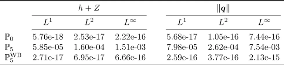 Table 2: Free surface and discharge norm errors for the lake at rest experiment.