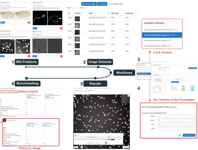 Figure  1.  The  web  interface  of  BIAFLOWS.  A  registered  user  first  selects  a  bioimage  analysis problem from the set of available classes (1) and browses compatible datasets (2)  from this project